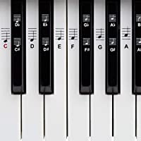 Piano + Keyboard Notas de piano + Gratis eBook | Premium para 49- 61- 76- 88 teclas Pegatinas Juego completo para Negra…